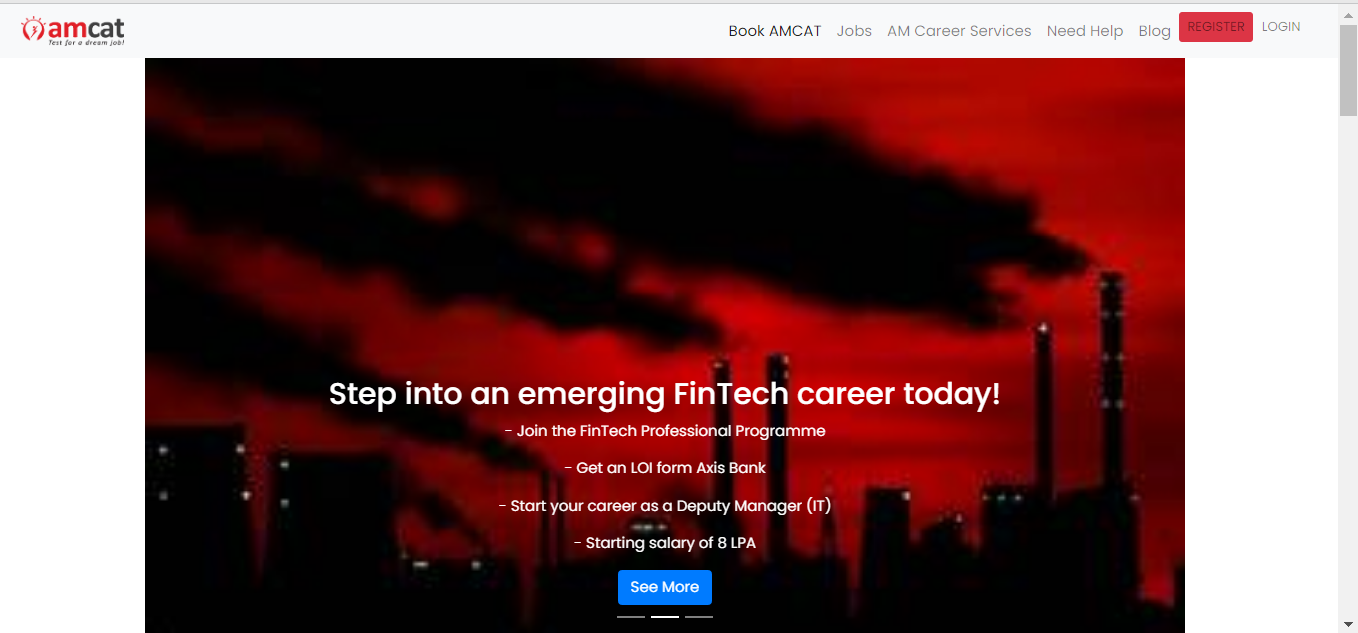 portfolio item thumb