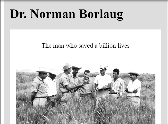 portfolio item thumb